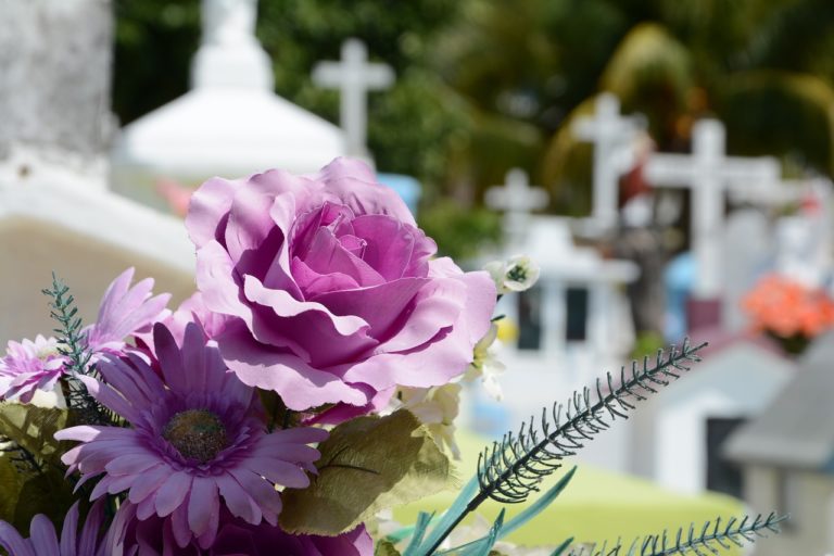 cementerio, flor, cemetery-948048.jpg